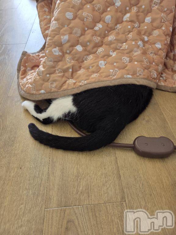 新潟デリヘルGRACE　新潟(グレース　ニイガタ)安西(35)の2026年4月21日写メブログ「おさわりNGなので」