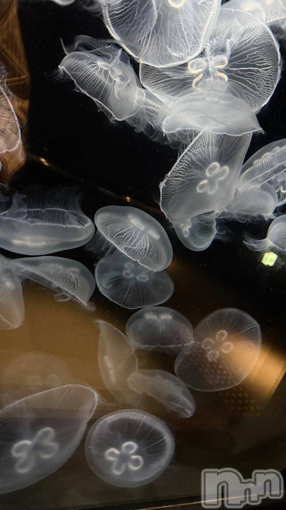 長岡デリヘル純・無垢(ジュンムク)つな(20)の2025年10月8日写メブログ「今日は16時まで」