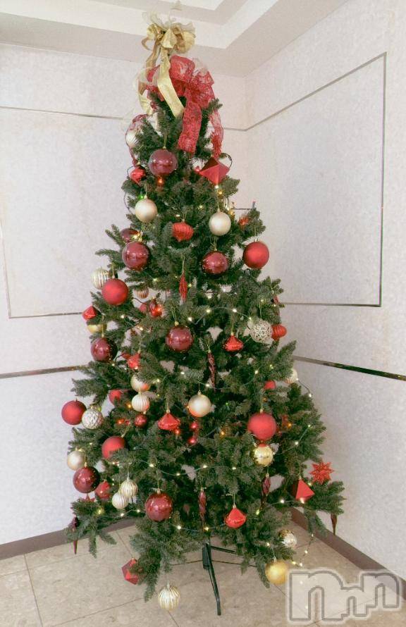 長岡デリヘル純・無垢(ジュンムク)つな(20)の2025年12月13日写メブログ「🎄✨」