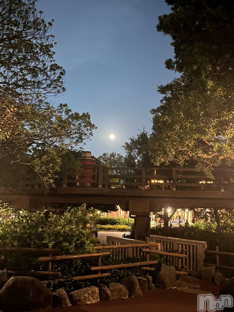 Х顦Blanc (֥) ꤫1014̥֥🌝