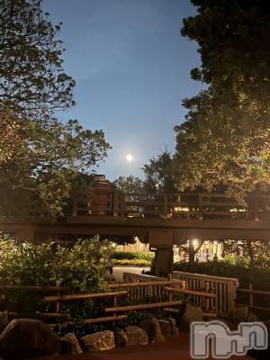 新潟駅前キャバクラ・クラブBlanc (ブラン) りりかの10月14日写メブログ「🌝」