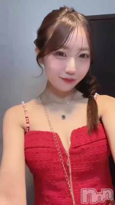 ˤ塼👗🐈