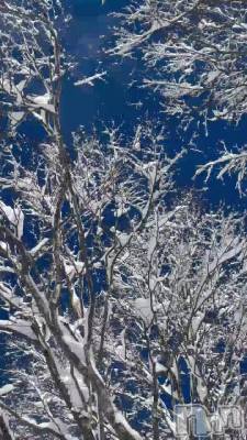 ä礤ж❄️