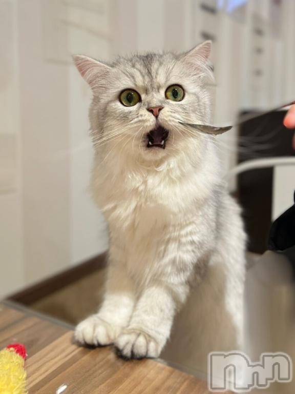 長岡デリヘルBIANCA～主人の知らない私～長岡店(ビアンカナガオカテン) 水上　ゆう(35)の3月11日写メブログ「おはようございます」