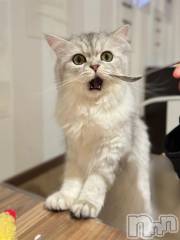 長岡デリヘルBIANCA～主人の知らない私～長岡店(ビアンカナガオカテン) 水上　ゆう(35)の5月15日写メブログ「ひぃー」