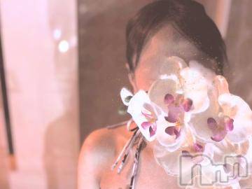 長岡デリヘル BIANCA～主人の知らない私～長岡店(ビアンカナガオカテン) 水上　ゆう(35)の9月25日写メブログ「前の方が…」