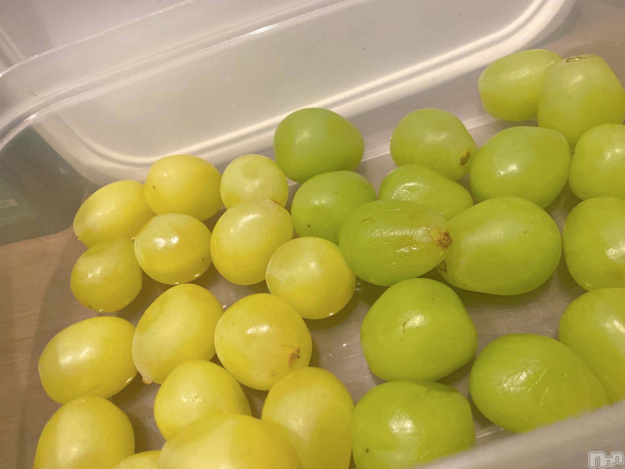 Х顦Lounge M(饦󥸥) 2024ǯ101̥֥🍇