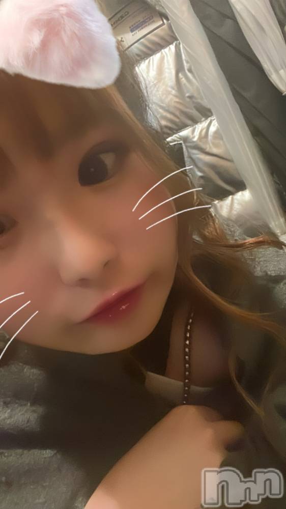 ƲХ顦clubTiara(ƥ) ʤ91ֽ̥֥жС