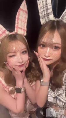 Хˡ🐰🌙🩵