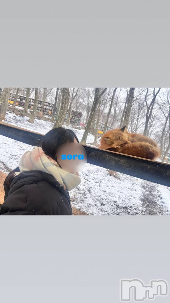新潟デリヘルMelt(メルト) そら(25)の3月13日写メブログ「そらときつね🦊」