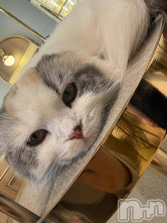 新潟デリヘルMelt(メルト) そら(25)の1月10日写メブログ「お互いにプレゼント🎁」