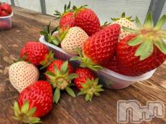 新潟デリヘルMelt(メルト) そら(25)の3月29日写メブログ「🈵ご予約してくださった方のおかげです♡」