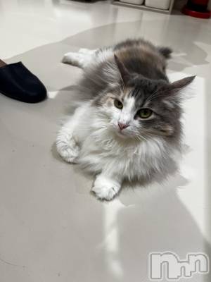 ��Į����Х��顦�����GRANDIR(�����ǥ�����) ǡ�� ϡ��7��17���̥�֥����֤̤���������