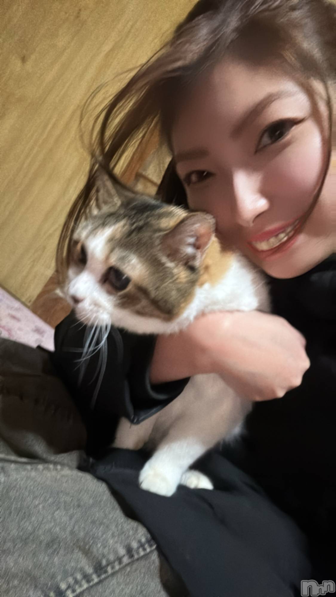 ĮХ顦La Clacion(鎥饷) 2025ǯ115̥֥🐈