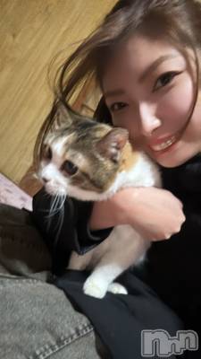 ĮХ顦La Clacion(鎥饷) 椤115̥֥🐈