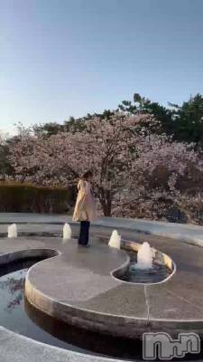 ⛲️