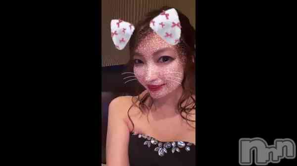 &#x1F408;