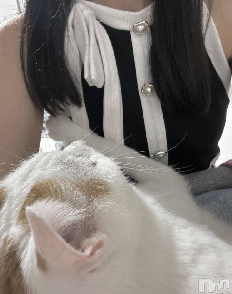 ƲХ顦CLUB FOUR GARDEN(֡եǥ) ˤ98̥֥😺