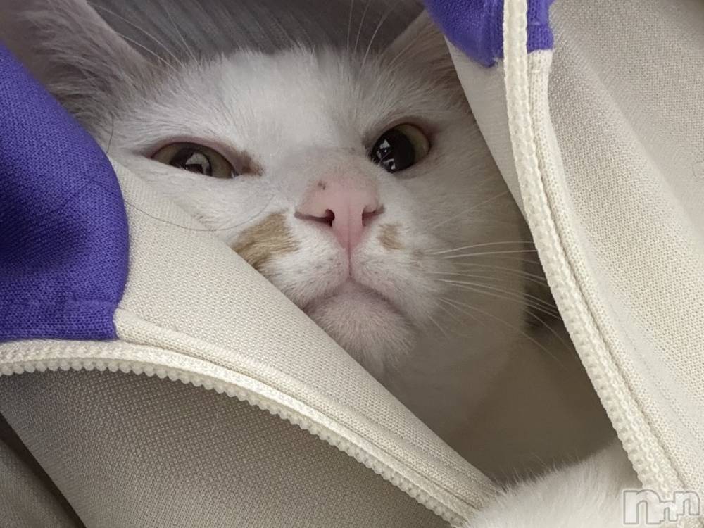 ƲХ顦CLUB FOUR GARDEN(֡եǥ) ˤ1123̥֥֤ġ