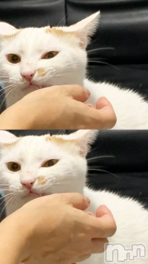 ��Ʋ����Х��顦�����CLUB FOUR GARDEN(����֡��ե��������ǥ�) ��ˤ�2��23���̥�֥����ֽжФ��ޤ���😺��