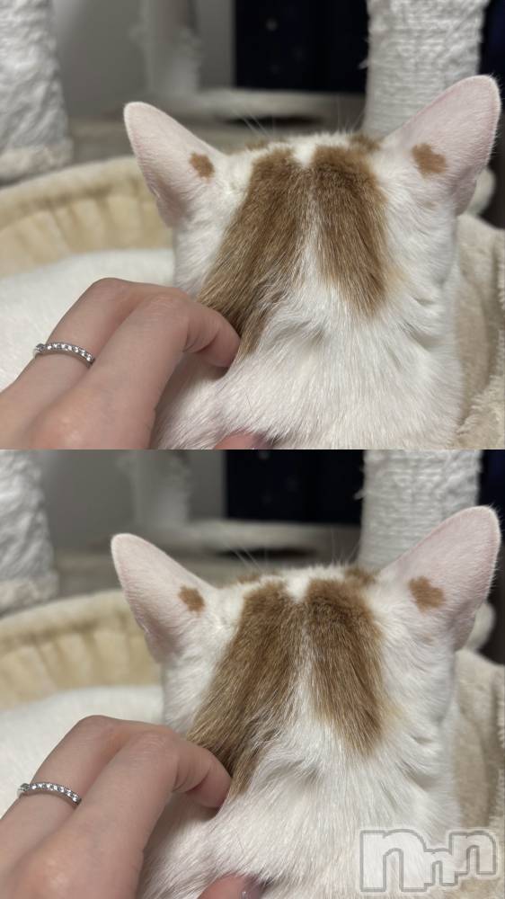 ��Ʋ����Х��顦�����CLUB FOUR GARDEN(����֡��ե��������ǥ�) ��ˤ�4��4���̥�֥����ֽжС�