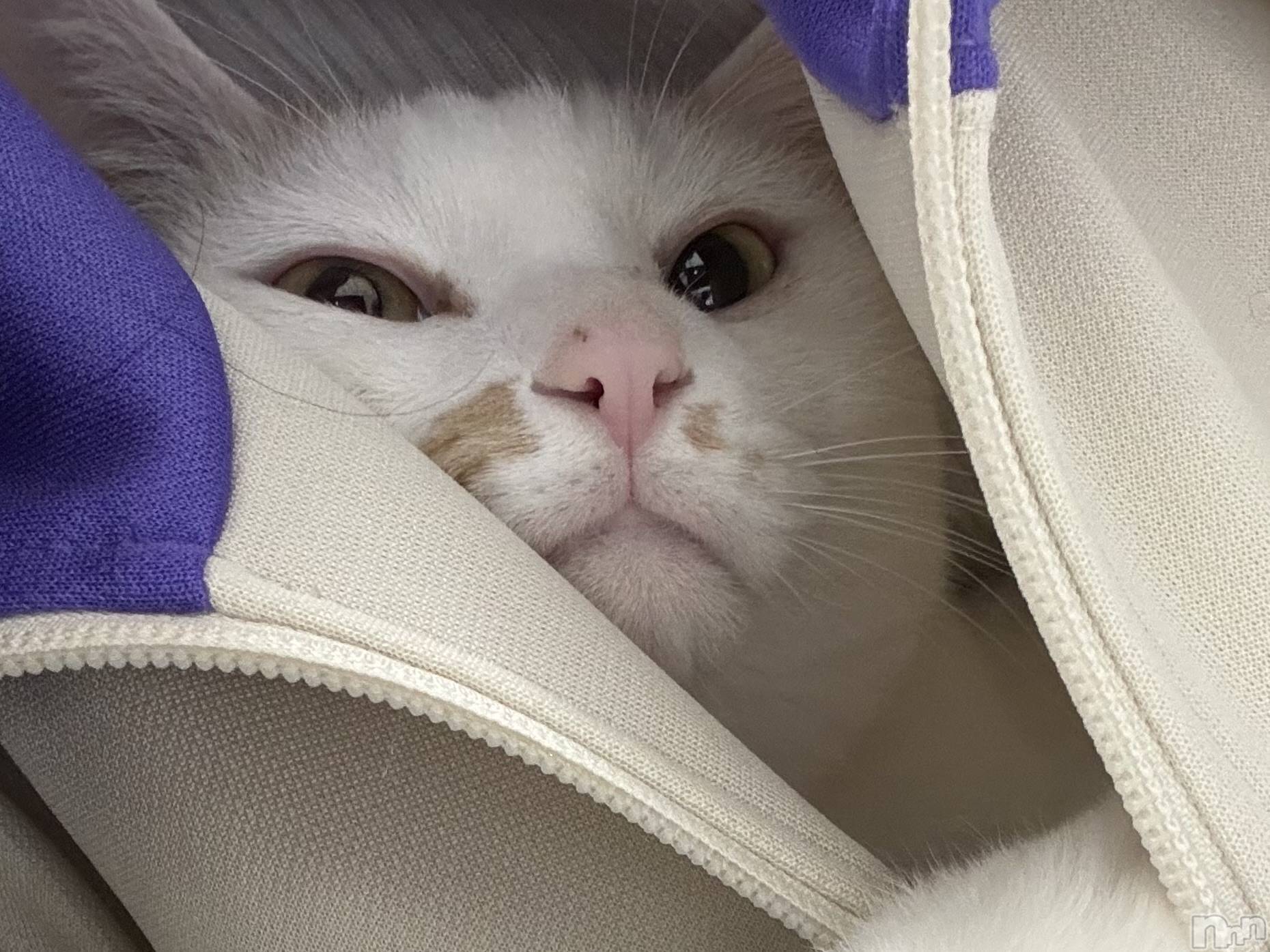 ƲХ顦CLUB FOUR GARDEN(֡եǥ) 2025ǯ1123̥֥֤ġ