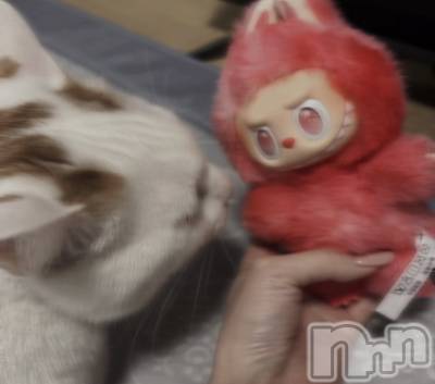 ��Ʋ����Х��顦�����CLUB FOUR GARDEN(����֡��ե��������ǥ�) ��ˤ�10��27���̥�֥����ֽжС�