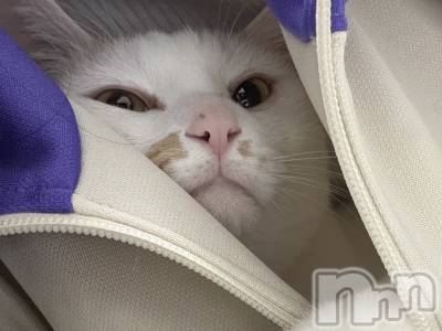 ��Ʋ����Х��顦�����CLUB FOUR GARDEN(����֡��ե��������ǥ�) ��ˤ�11��23���̥�֥����֤���ġ�