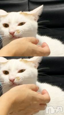 ��Ʋ����Х��顦�����CLUB FOUR GARDEN(����֡��ե��������ǥ�) ��ˤ�2��23���̥�֥����ֽжФ��ޤ���😺��