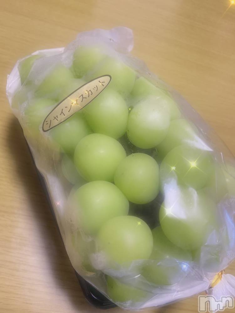 ʥå륺С̴(ȥ) 916̥֥֤Ǥ💚