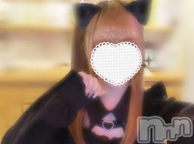 ʥå륺С̴(ȥ) 210ֺ̥֥Ǥ💖