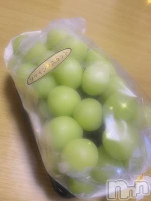 ʥå륺С̴(ȥ) 916̥֥֤Ǥ💚