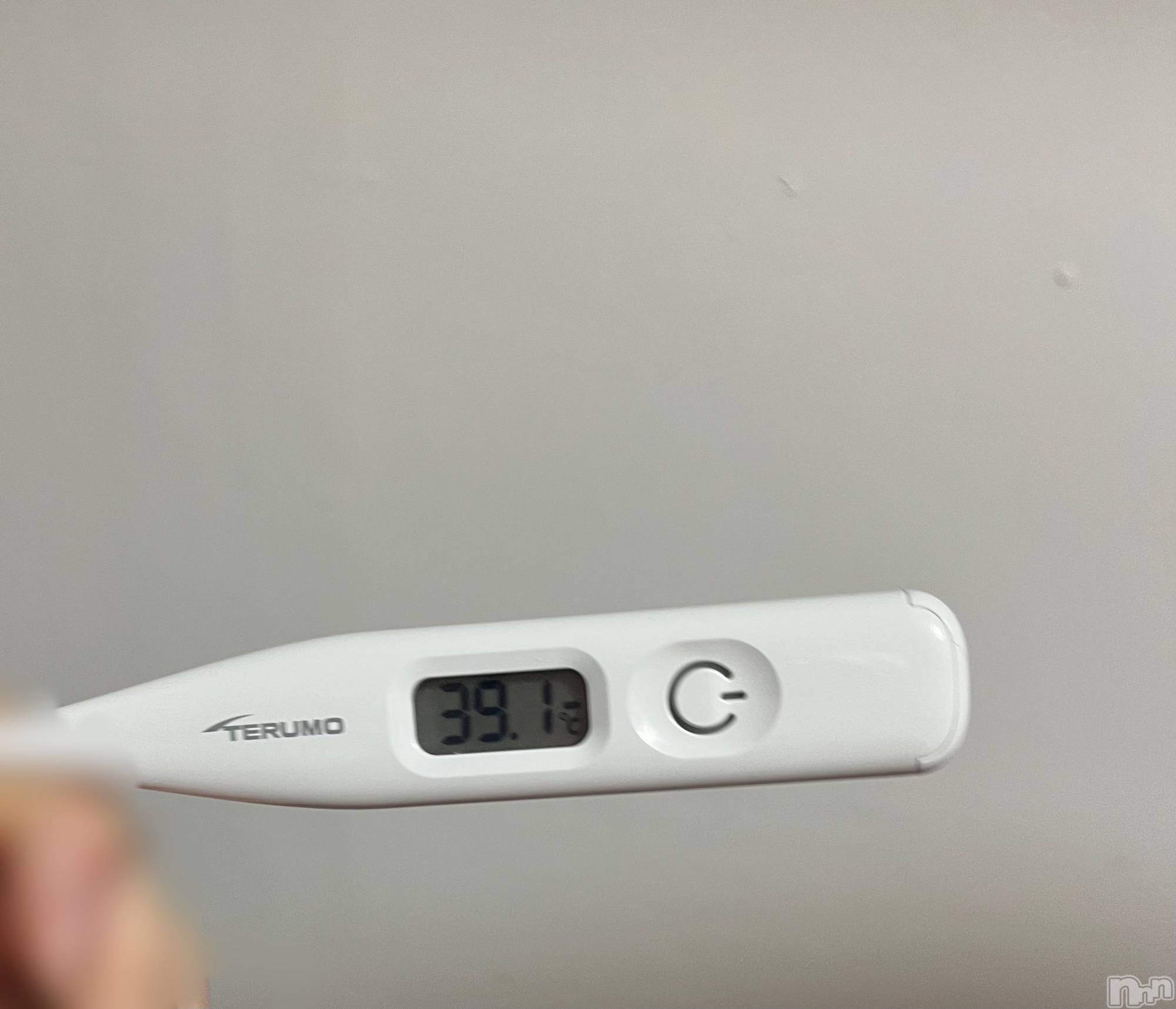 Х顦Armada(ޡ) 2025ǯ118̥֥֤䤹ߡ