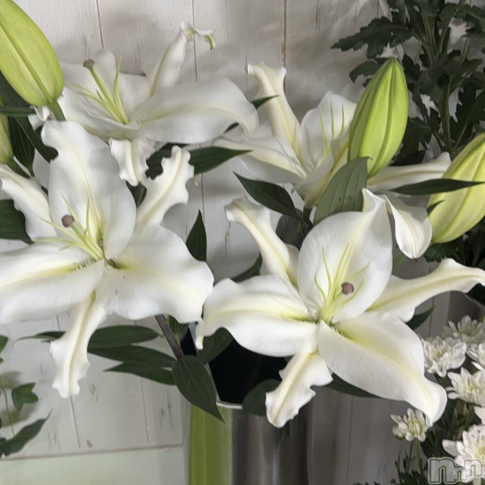 ��ˬ����Х��顦�����CLUB Red(����� ��å�) ��������6��4���̥�֥����֤���Ф�ϡ�̮⃝ 6/4��