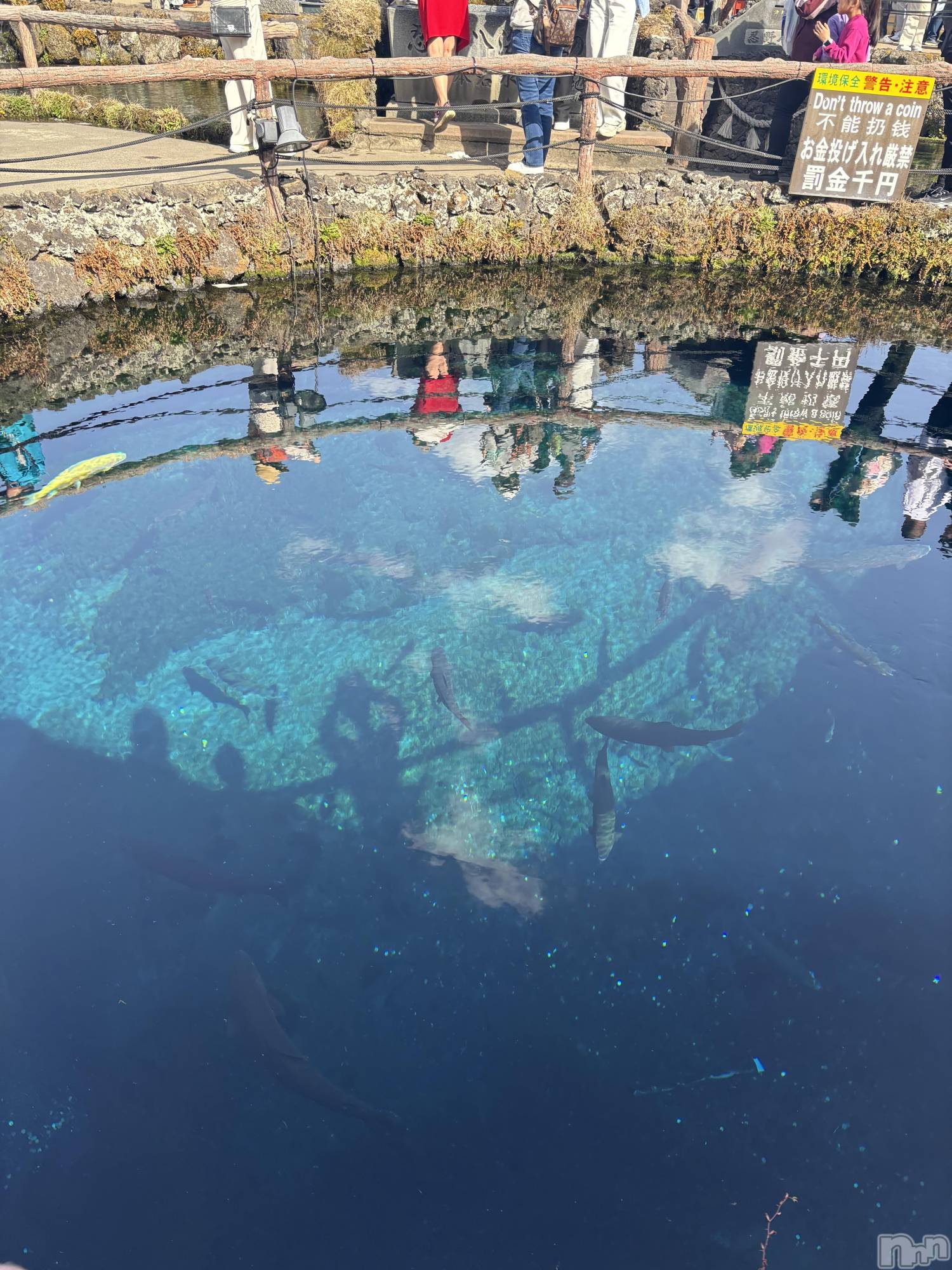 ��ˬ����Х��顦�����CLUB Red(����� ��å�) ��2025ǯ3��28���̥�֥����֤���Ф�ϡ�̮⃝ 3/28��