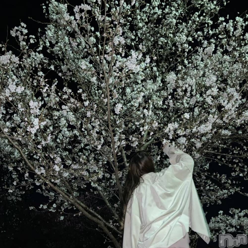 ��ˬ����Х��顦�����CLUB Red(����� ��å�) ��2025ǯ4��14���̥�֥����֤���Ф�ϡ�̮⃝ 4/14��