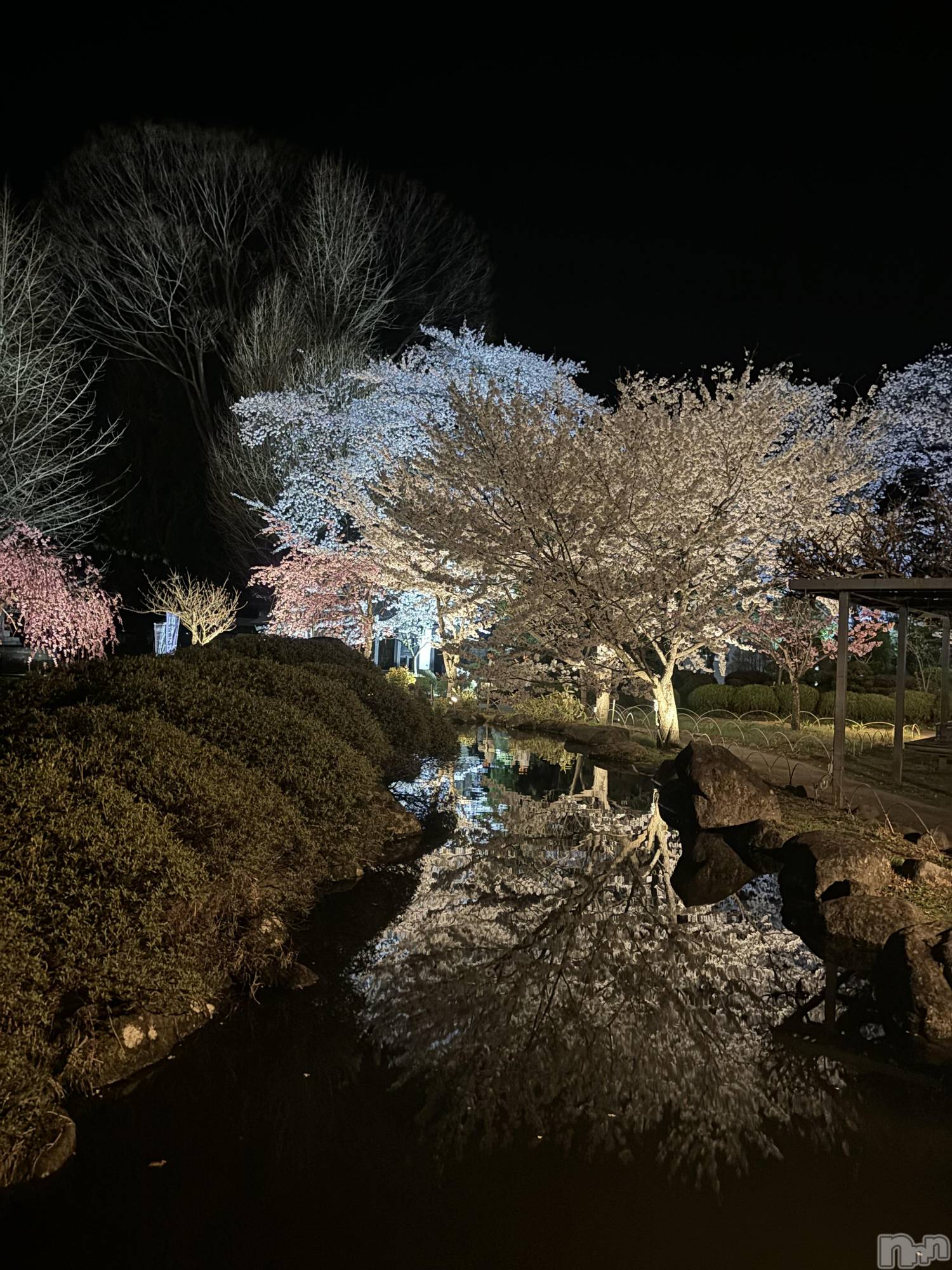 ��ˬ����Х��顦�����CLUB Red(����� ��å�) ��2025ǯ4��23���̥�֥����֤���Ф�ϡ�̮⃝ 4/23��