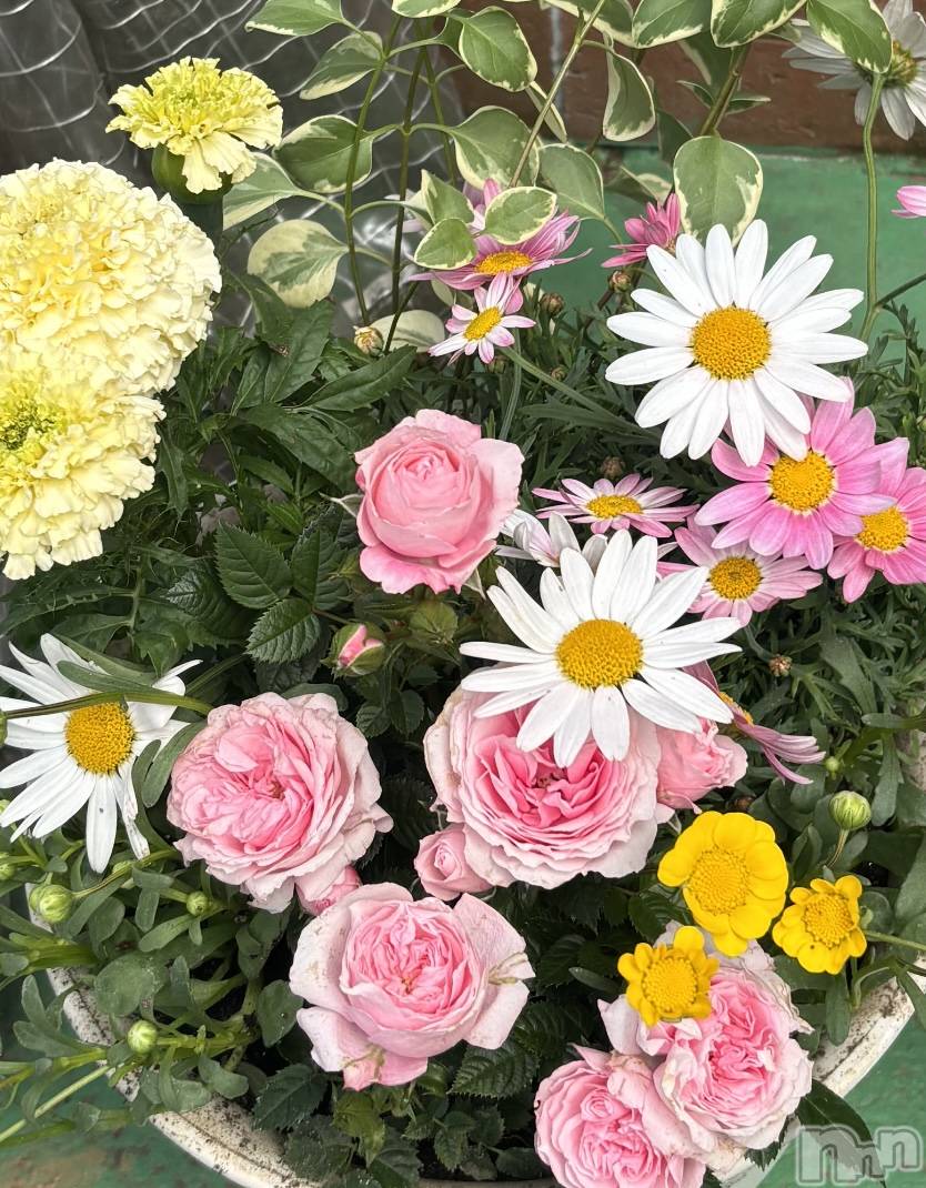 ��ˬ����Х��顦�����CLUB Red(����� ��å�) ��2025ǯ4��24���̥�֥����֤���Ф�ϡ�̮⃝ 4/24��