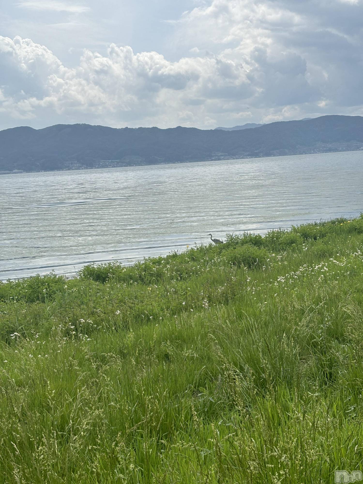 ��ˬ����Х��顦�����CLUB Red(����� ��å�) ��2025ǯ5��24���̥�֥����֤���Ф�ϡ�̮⃝ 5/24��