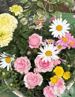 ��ˬ����Х��顦�����CLUB Red(����� ��å�) ������(22)��4��24���̥�֥����֤���Ф�ϡ�̮⃝ 4/24��