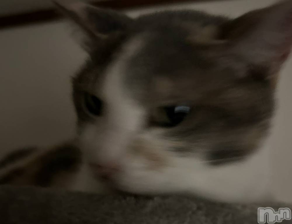 ���ᥭ��Х��顦�����Club Focus(����֡��ե�������) �����9��13���̥�֥�����🤍��