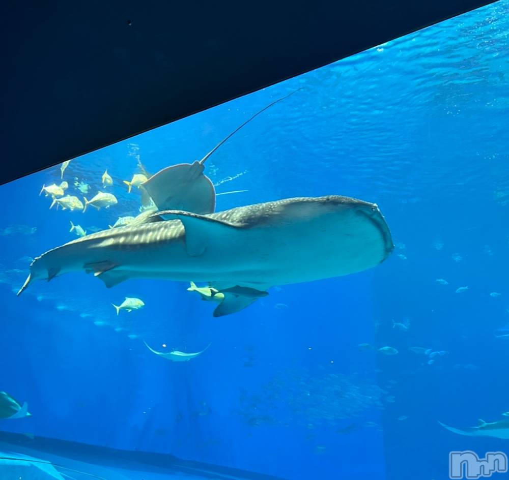 ���ᥭ��Х��顦�����Club Focus(����֡��ե�������) �����10��31���̥�֥�����🤍��