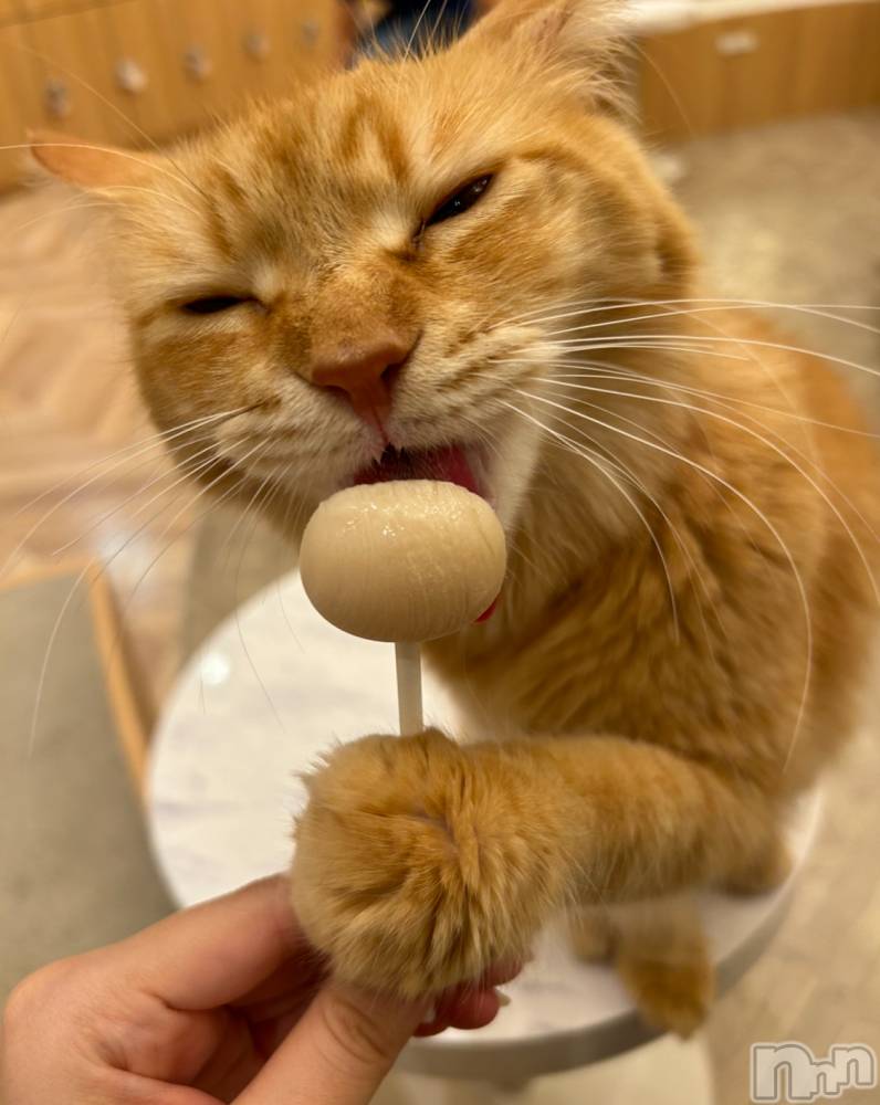 ���ᥭ��Х��顦�����Club Focus(����֡��ե�������) �����11��13���̥�֥�����🤍��