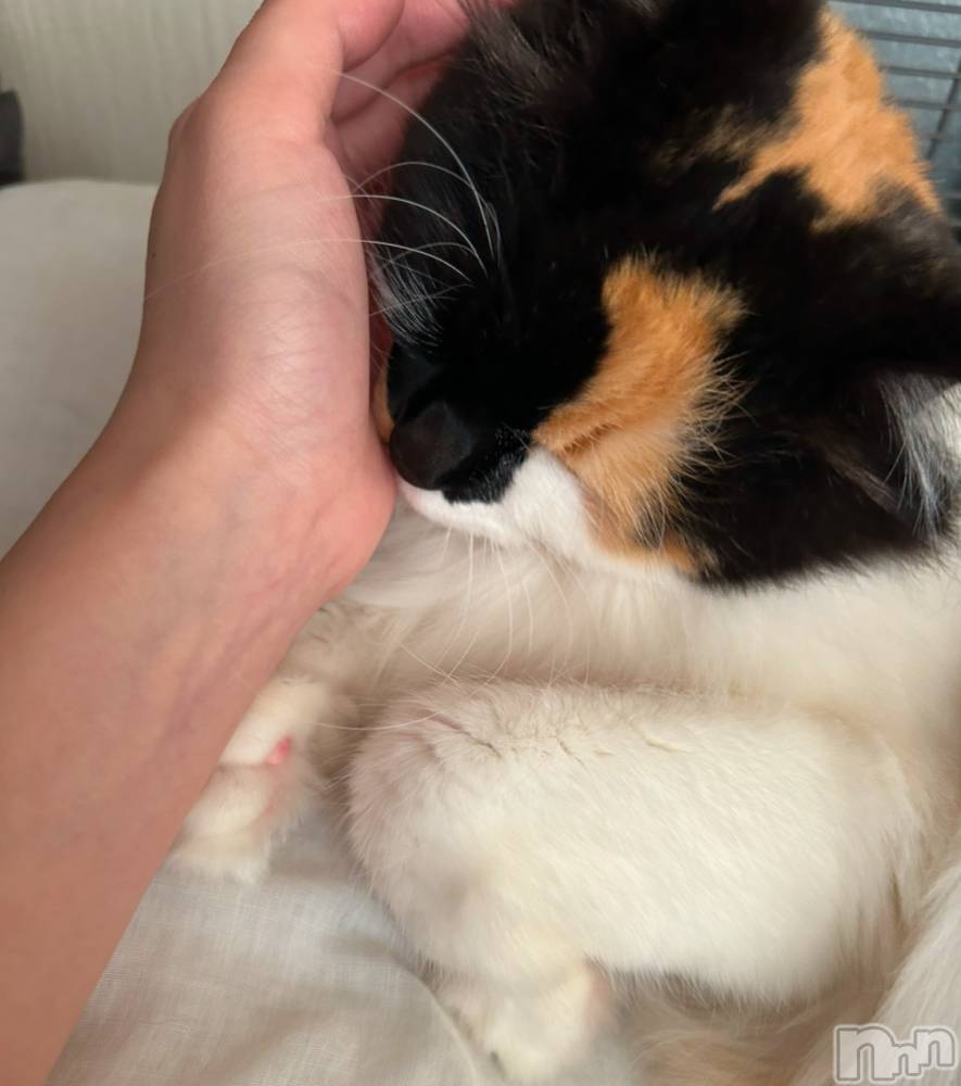 ���ᥭ��Х��顦�����Club Focus(����֡��ե�������) �����1��9���̥�֥�����🤍��