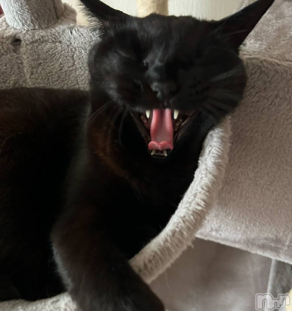 ���ᥭ��Х��顦�����Club Focus(����֡��ե�������) �����5��30���̥�֥�����🤍��