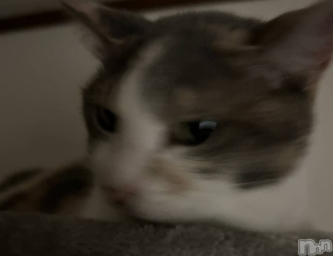 ���ᥭ��Х��顦�����Club Focus(����֡��ե�������) ��2024ǯ9��13���̥�֥�����🤍��