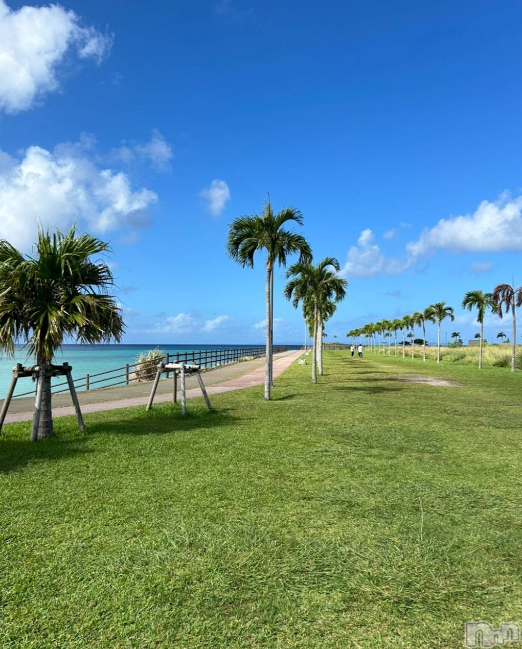 ���ᥭ��Х��顦�����Club Focus(����֡��ե�������) ��2024ǯ11��1���̥�֥�����🤍��