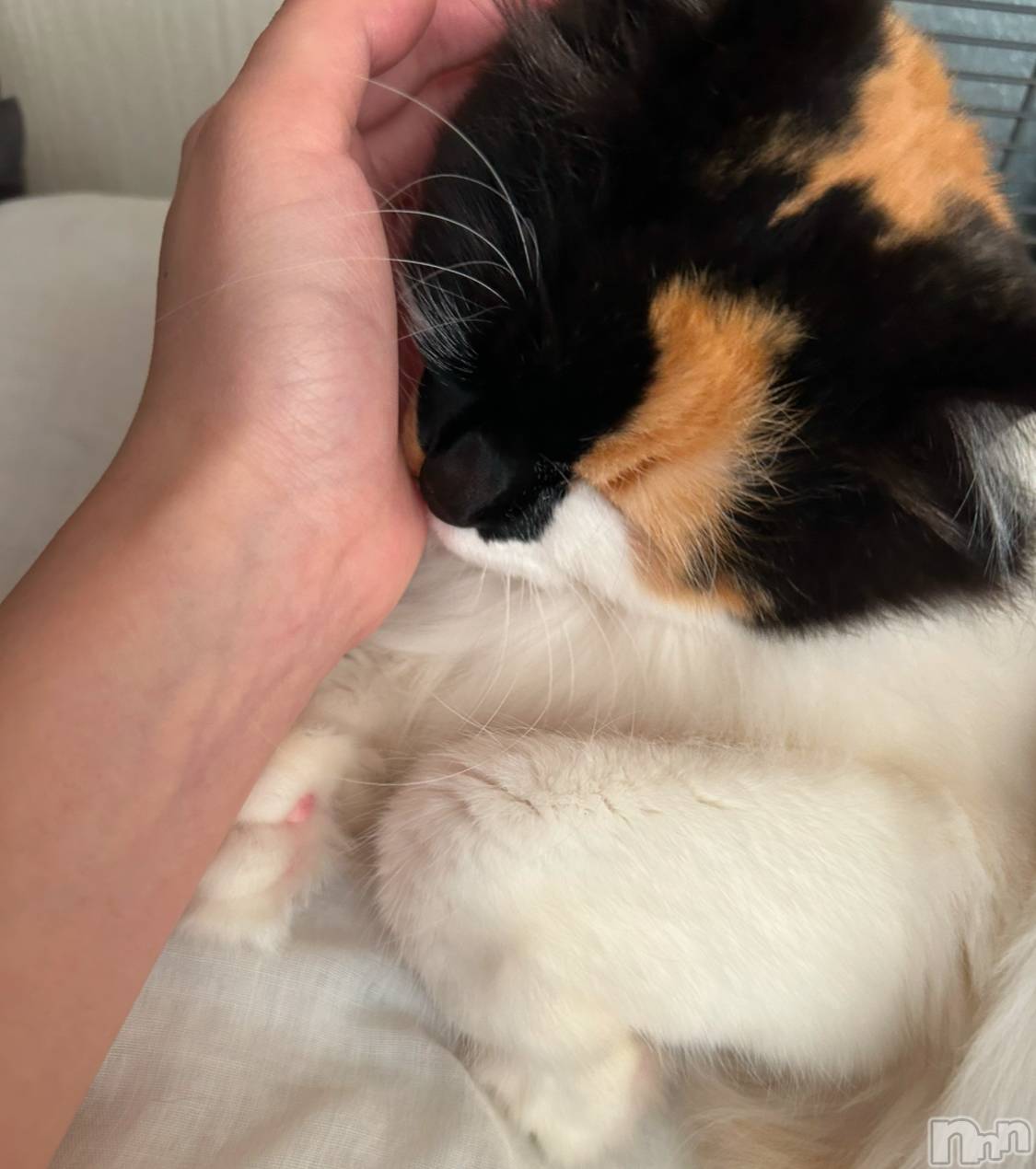 ���ᥭ��Х��顦�����Club Focus(����֡��ե�������) ��2025ǯ1��9���̥�֥�����🤍��