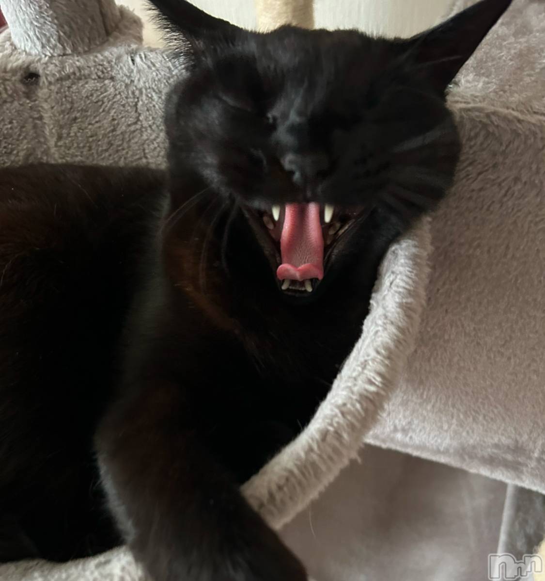 ���ᥭ��Х��顦�����Club Focus(����֡��ե�������) ��2025ǯ5��30���̥�֥�����🤍��