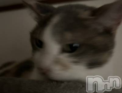 ���ᥭ��Х��顦�����Club Focus(����֡��ե�������) ����(20)��9��13���̥�֥�����🤍��